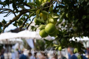 Trouwen Ibiza - Weddingplanner Ibiza